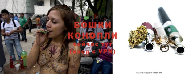 spice Корсаков