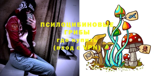 spice Корсаков