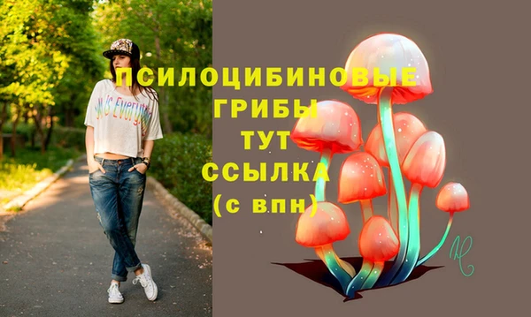 spice Корсаков