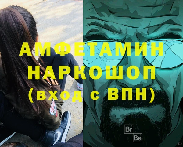 стафф Гатчина