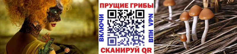 Псилоцибиновые грибы Psilocybine cubensis Купить Макарьев