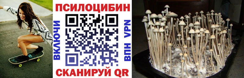 Псилоцибиновые грибы MAGIC MUSHROOMS Макарьев